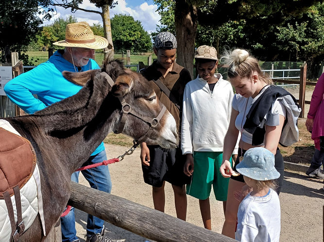 Foto's intergenerationneelkamp - 8/2025 - Photos du camp interg&eacute;n&eacute;rationnel