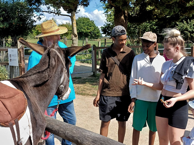 Foto's intergenerationneelkamp - 8/2025 - Photos du camp interg&eacute;n&eacute;rationnel