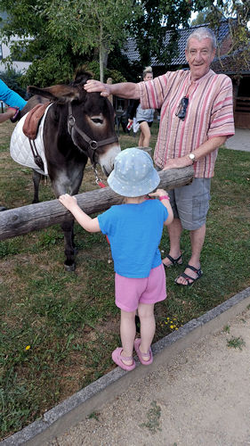 Foto's intergenerationneelkamp - 8/2025 - Photos du camp interg&eacute;n&eacute;rationnel